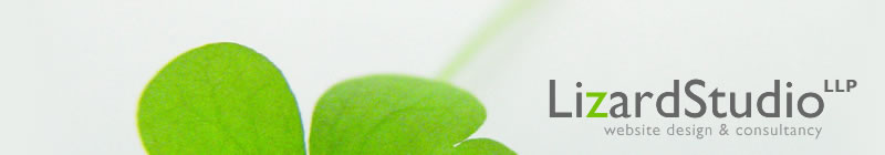 LizardStudio Ltd - Website design & consultancy